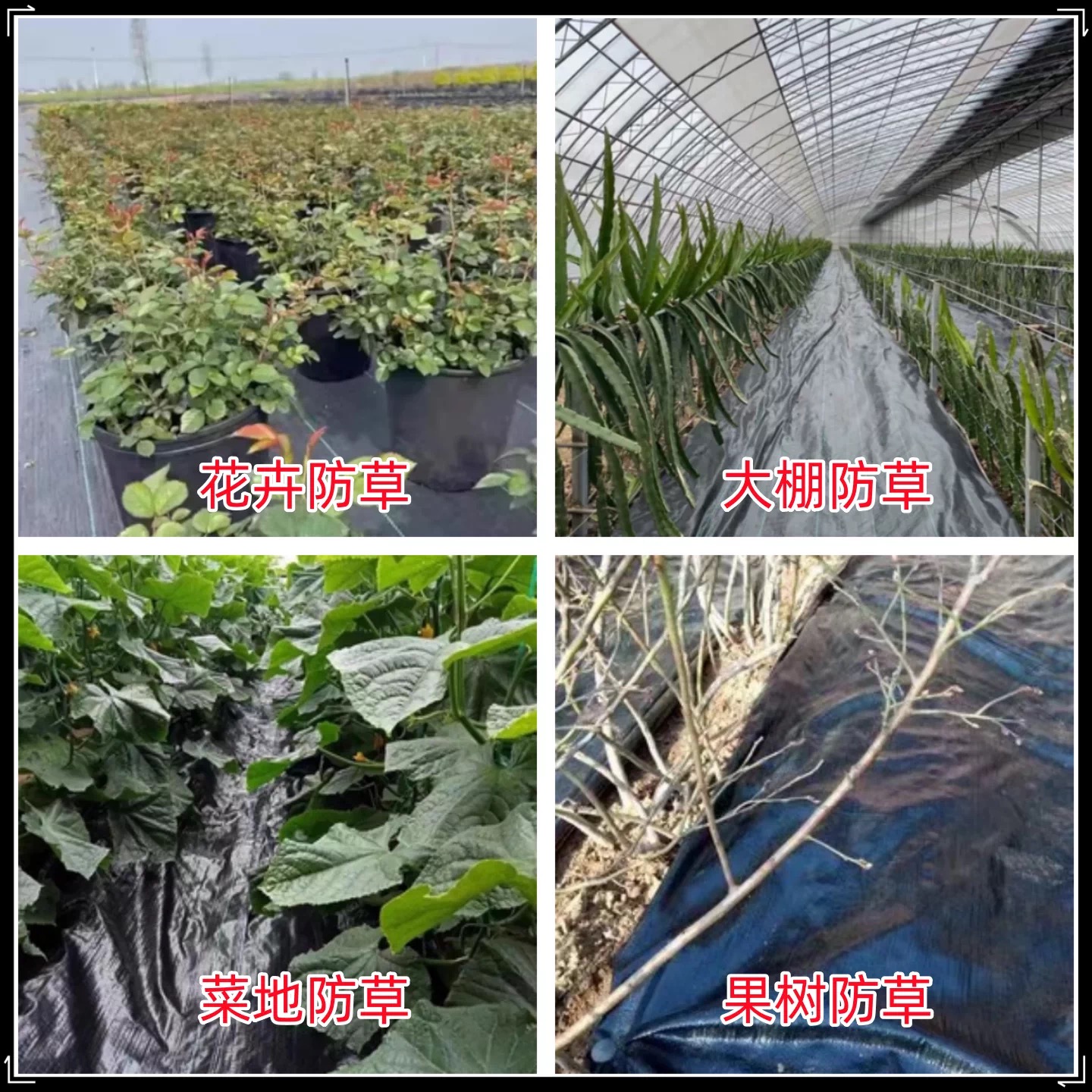 达州市工程膜防草布 - 哪里好