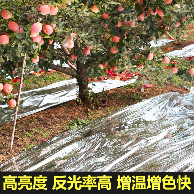 达州市工程膜果树反光膜 - 方案